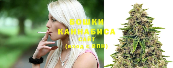 прущие грибы Верхний Тагил