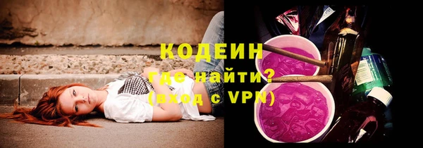 прущие грибы Верхний Тагил