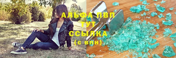 прущие грибы Верхний Тагил