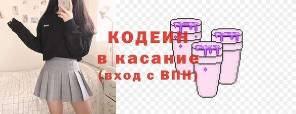 прущие грибы Верхний Тагил